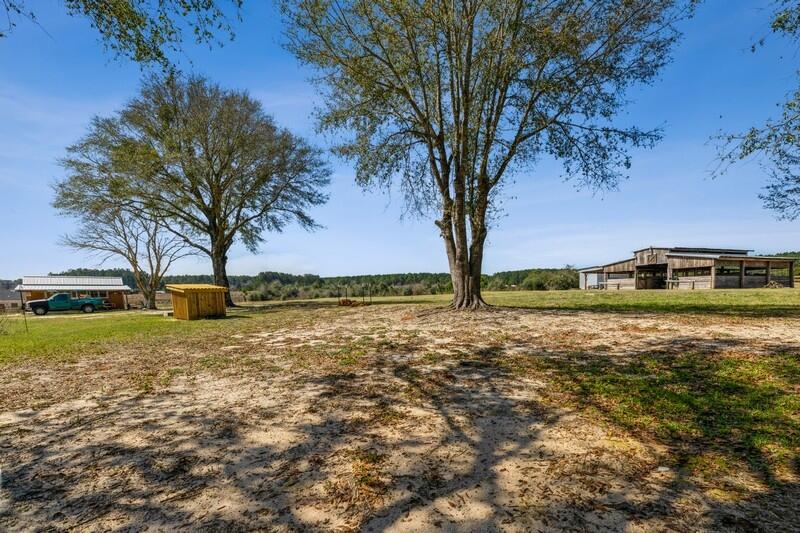 6246 Holloway Road Baker, FL 32531 - Photo 38 of 52 a view of a large trees with a yard