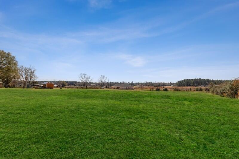 6246 Holloway Road Baker, FL 32531 - Photo 45 of 52 a view of a field with grassy field and trees