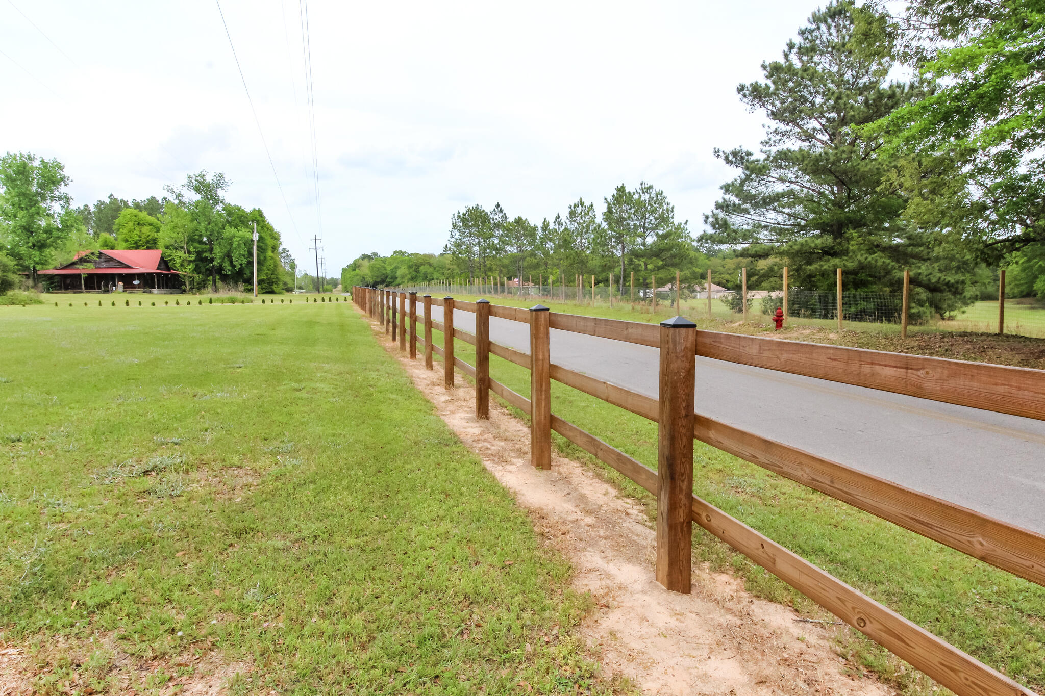 6246 Holloway Road Baker, FL 32531 - Photo 10 of 52 a view of a yard with large trees