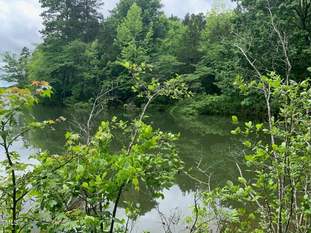 a backyard of a house with lots of green space and two chairs