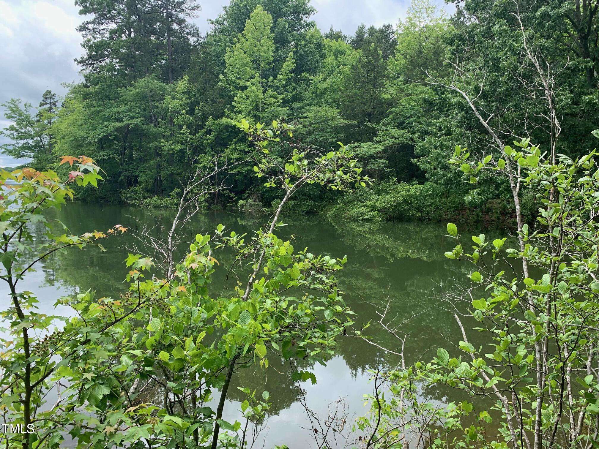 0 New Mayo Drive Roxboro, NC 27574 - Photo 2 of 9 a backyard of a house with lots of green space and two chairs