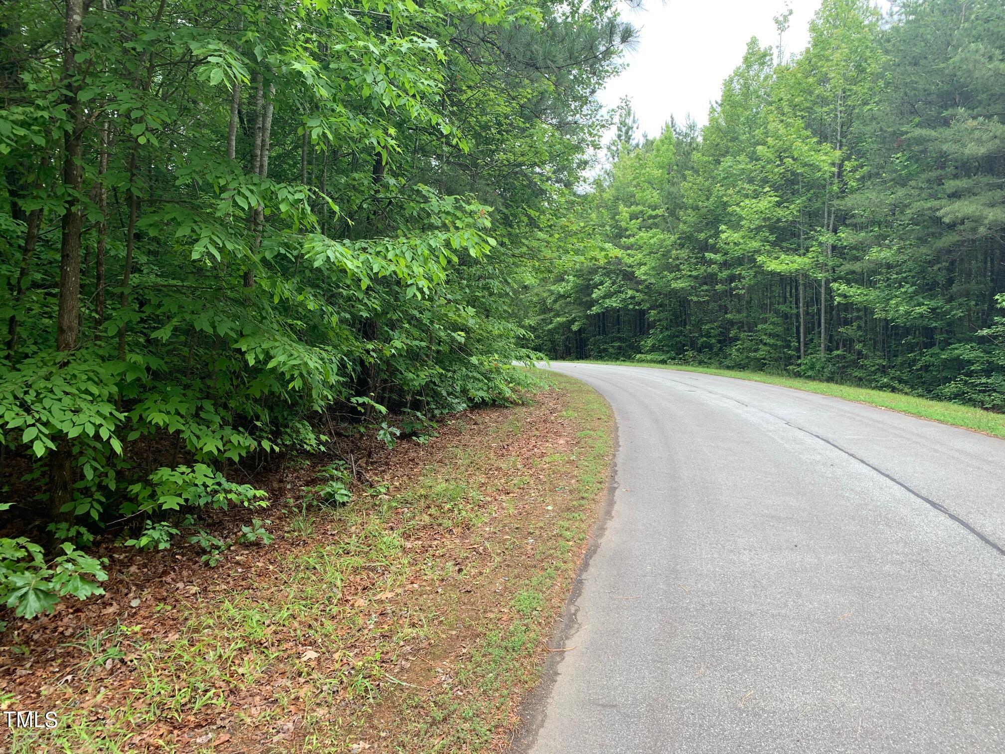 0 New Mayo Drive Roxboro, NC 27574 - Photo 8 of 9