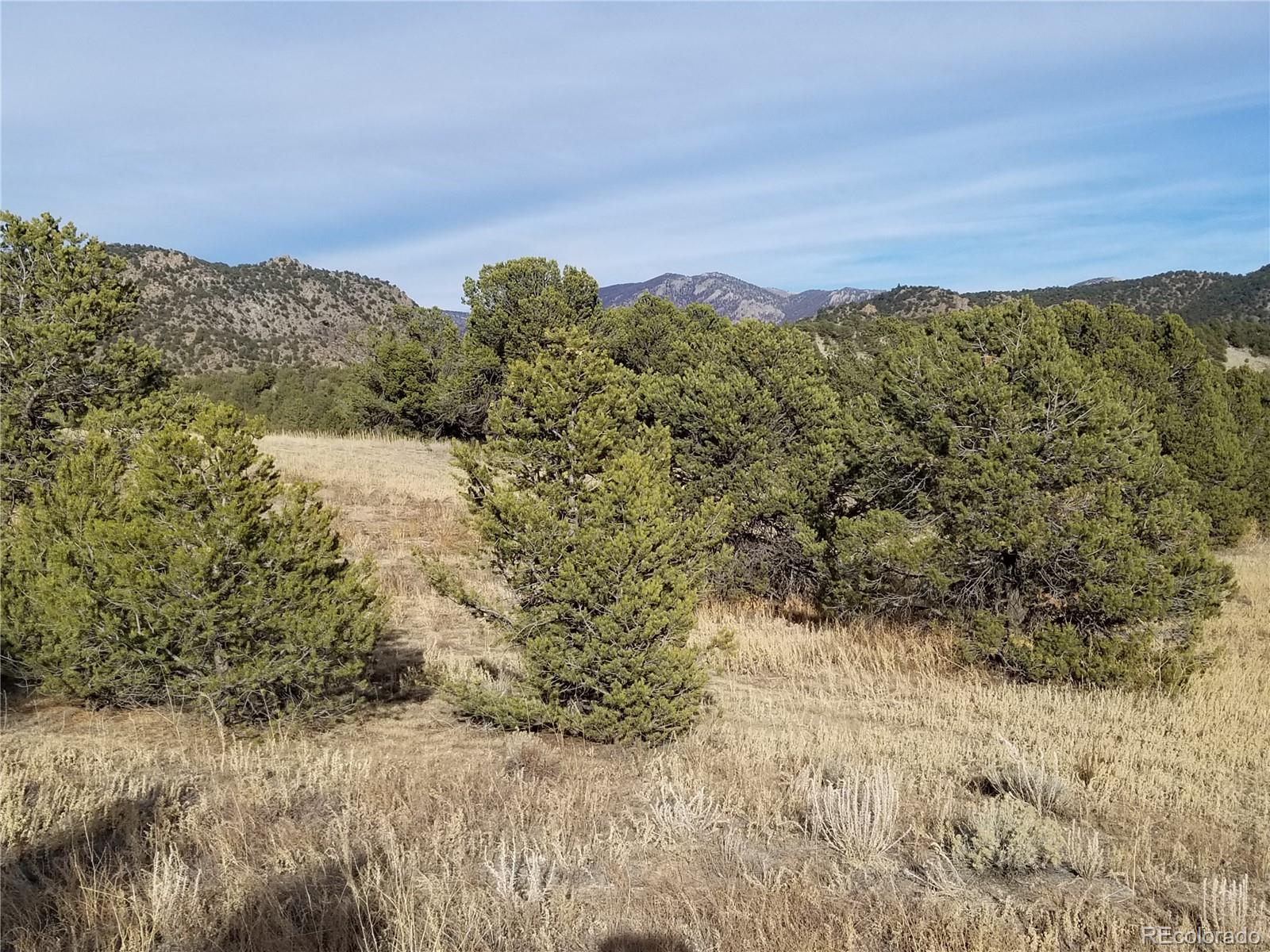 10759 Sawatch Range Road Salida, CO 81201 - Photo 16 of 38 Gallery Image 16