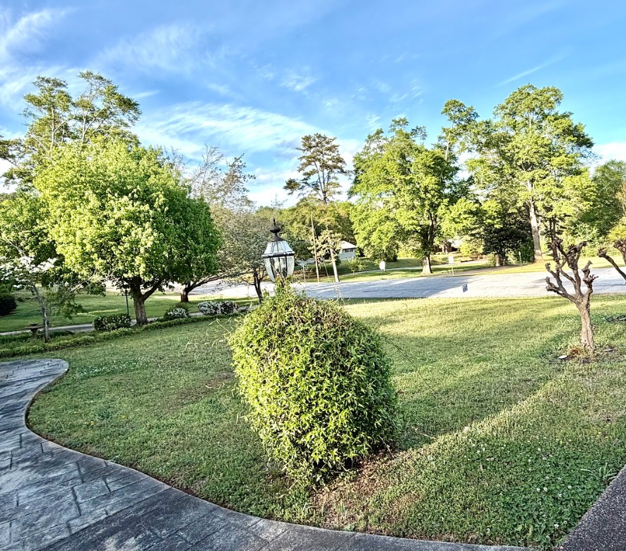 1807 College Avenue Anderson, SC 29621 - Photo 10 of 11