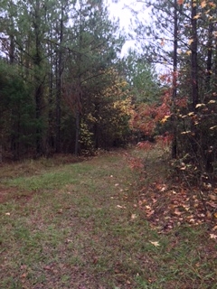 23.76 River Road Union, SC 29379 - Photo 3 of 10 Gallery Image 3