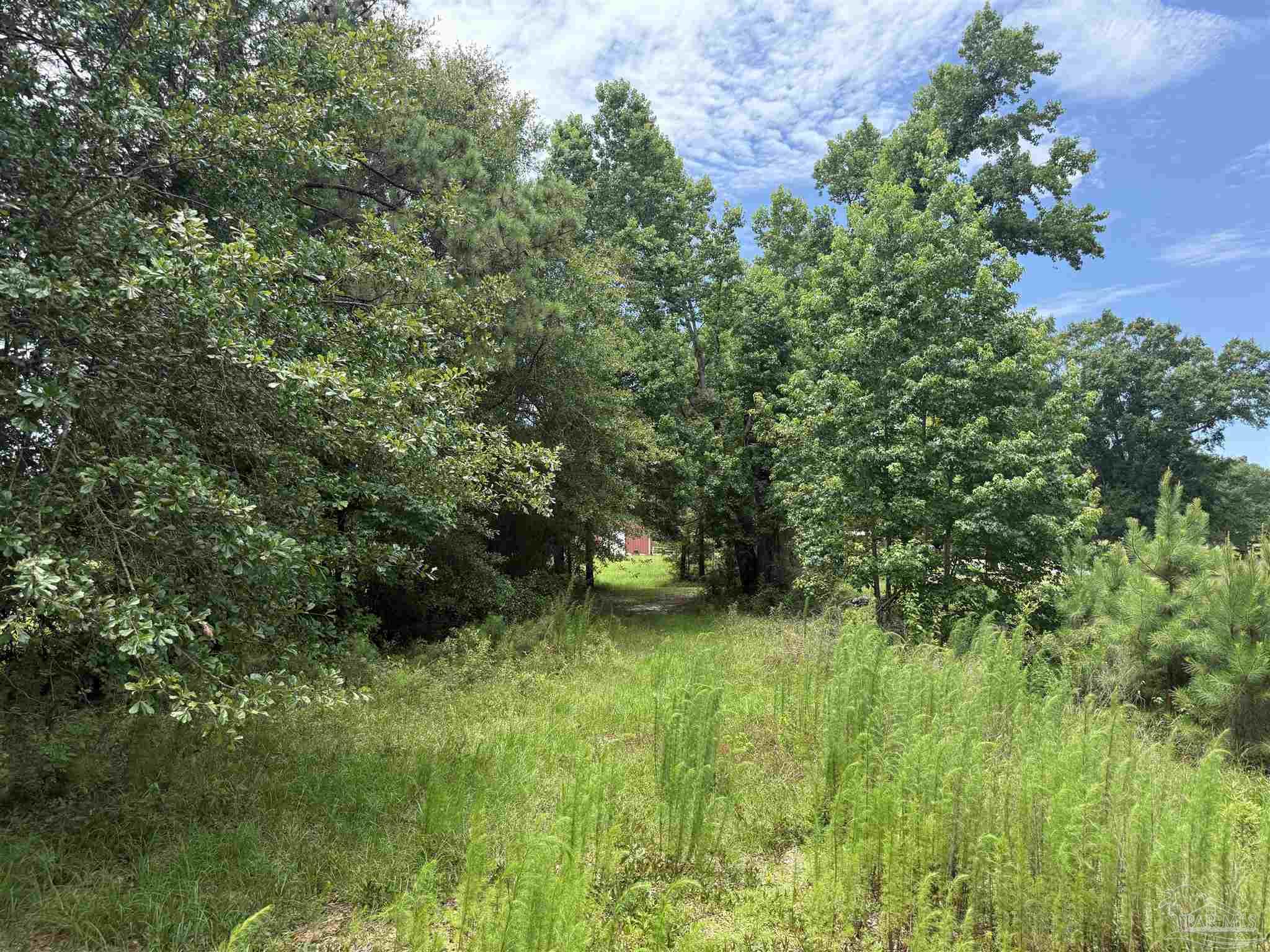 296 Salters Lake Road Century, FL 32535 - Photo 19 of 34