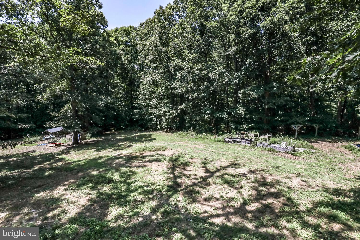 1761 Buckner Road Bumpass, VA 23024 - Photo 41 of 43 a view of a yard with a tree