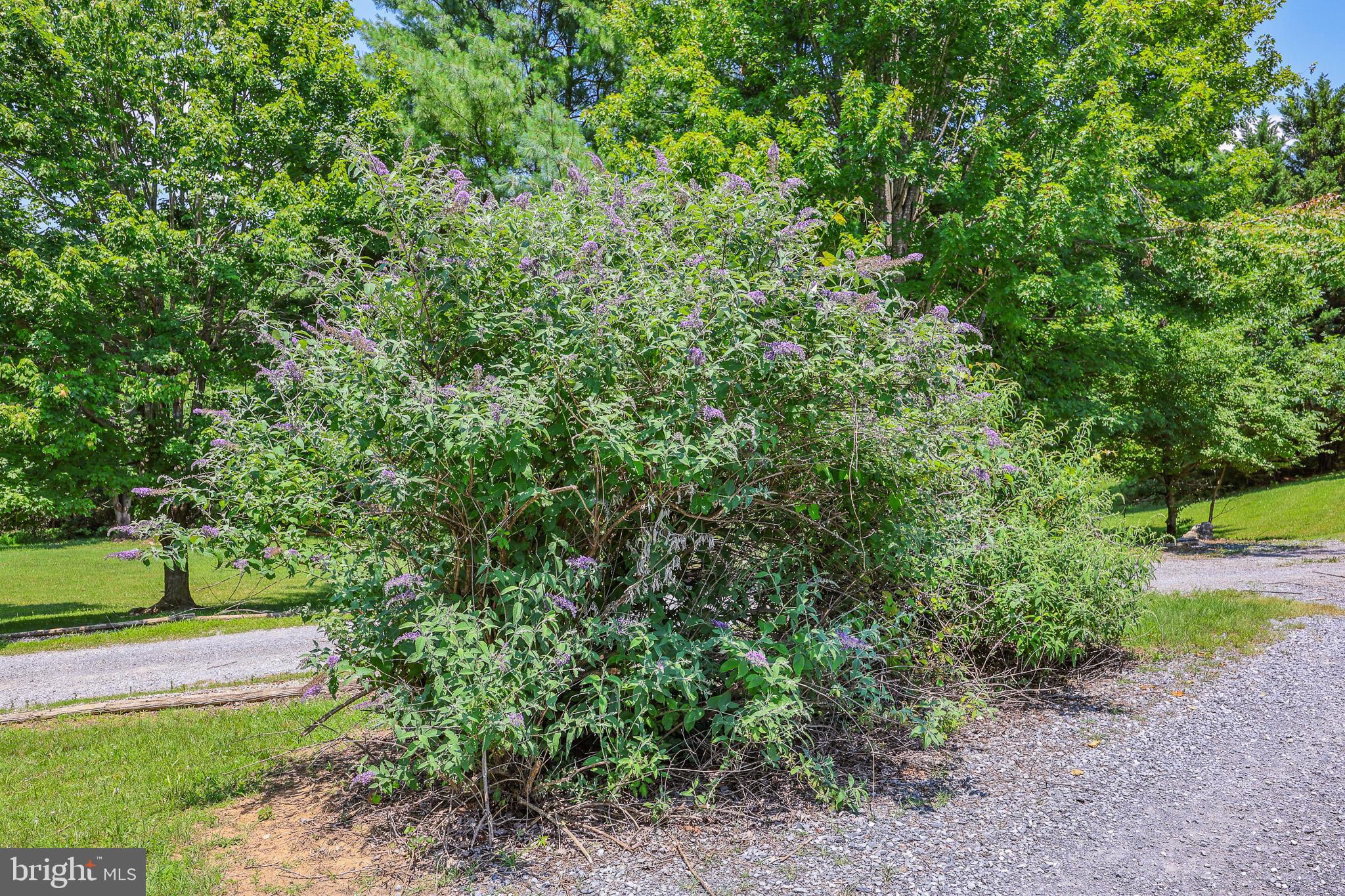 522 Star View Lane Rileyville, VA 22650 - Photo 68 of 83