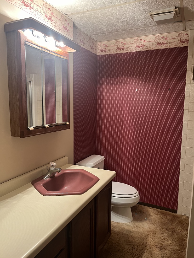 6519 Rowland Road Huntley, IL 60142 - Photo 11 of 12 a bathroom with a sink a toilet and mirror