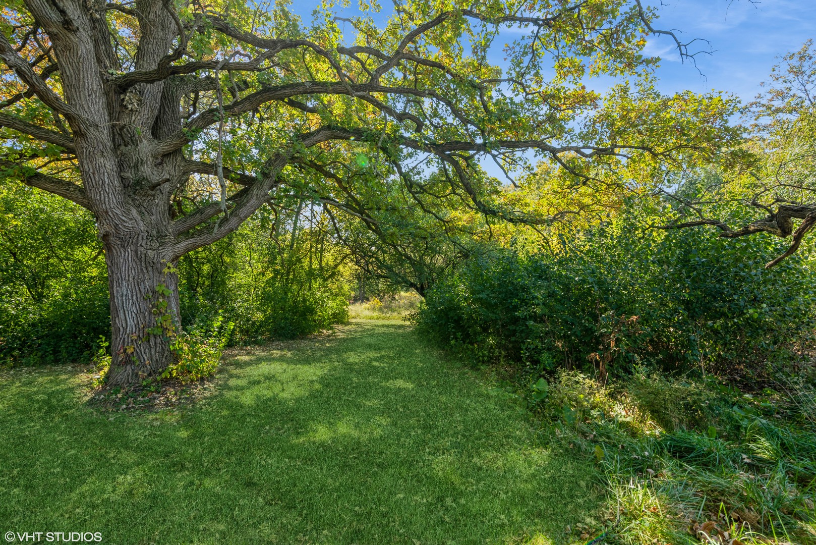 6519 Rowland Road Huntley, IL 60142 - Photo 6 of 12 a view of a lush green space