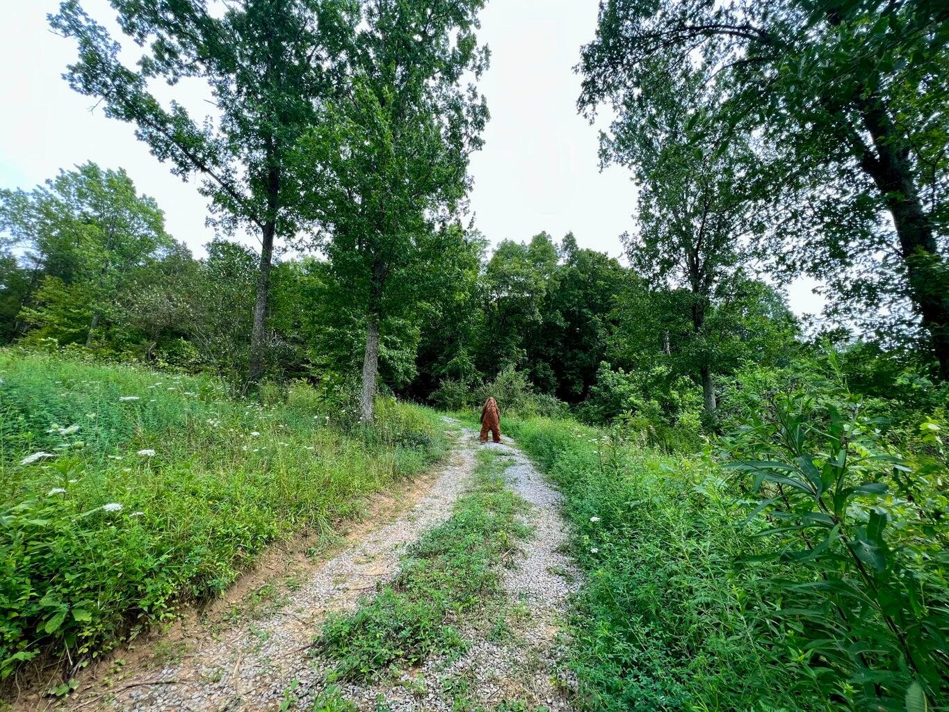1030 Old Owenton-Georgetown Road Owenton, KY 40359 - Photo 7 of 37 20230811144328377724000000-o