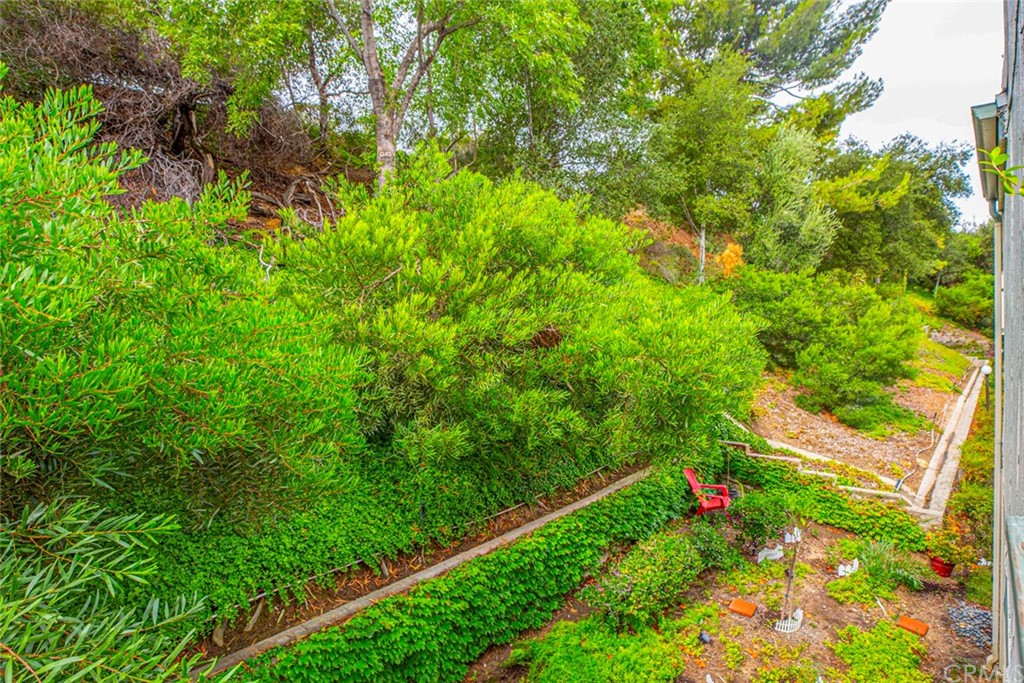 10504 Sunland Boulevard, Unit 5 Sunland, CA 91040 - Photo 41 of 66 a lush green forest with lots of trees