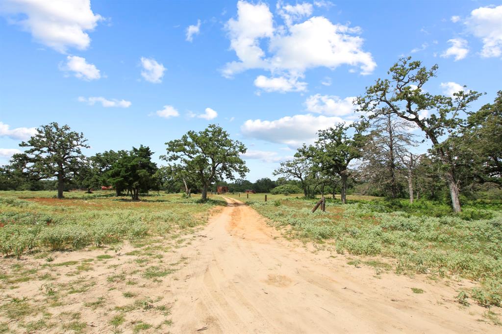 14 The Ranches Rockdale, TX 76567 - Photo 11 of 18 a view of a yard with a tree
