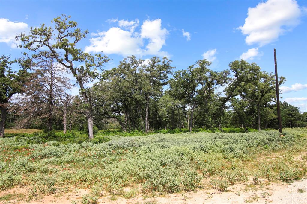 14 The Ranches Rockdale, TX 76567 - Photo 13 of 18 a view of a tree in a yard
