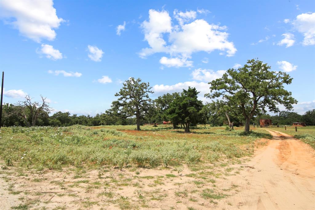 14 The Ranches Rockdale, TX 76567 - Photo 14 of 18 a view of a yard with an trees