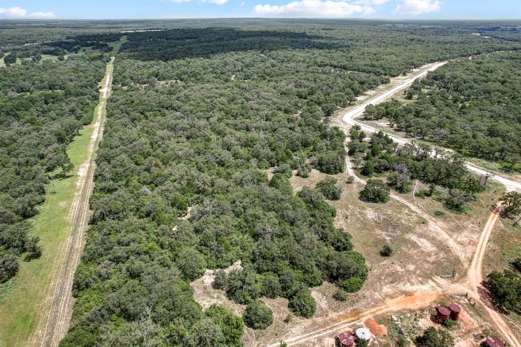 14 The Ranches Rockdale, TX 76567 - Photo 16 of 18 a view of a forest from a yard