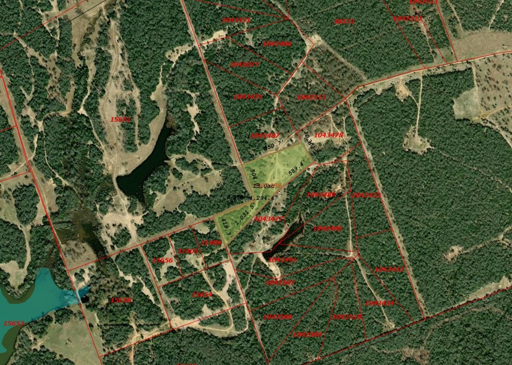 14 The Ranches Rockdale, TX 76567 - Photo 17 of 18 a bird view of pathway