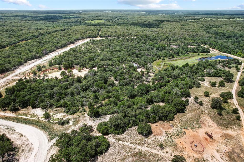 14 The Ranches Rockdale, TX 76567 - Photo 8 of 18 a view of a forest with a street