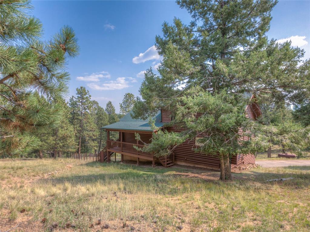 78 Barr Lake Circle Divide, CO 80814 - Photo 3 of 49