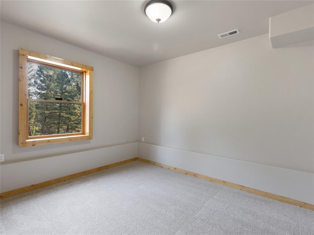78 Barr Lake Circle Divide, CO 80814 - Photo 32 of 49