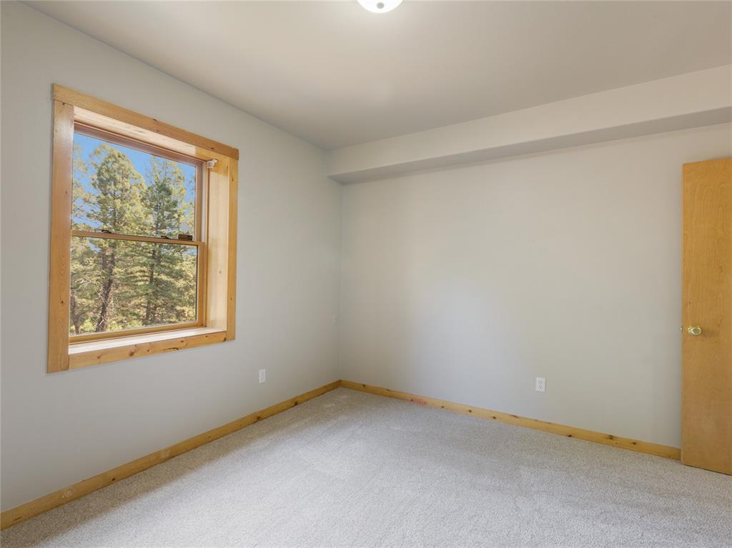 78 Barr Lake Circle Divide, CO 80814 - Photo 34 of 49