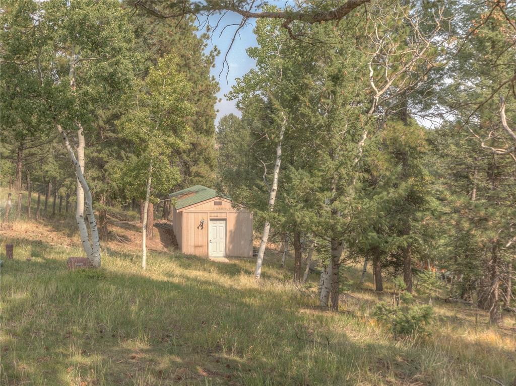 78 Barr Lake Circle Divide, CO 80814 - Photo 37 of 49