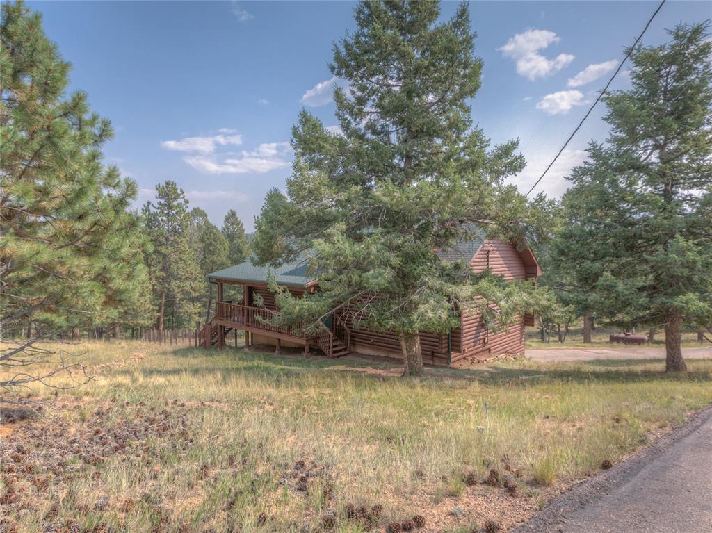 78 Barr Lake Circle Divide, CO 80814 - Photo 39 of 49