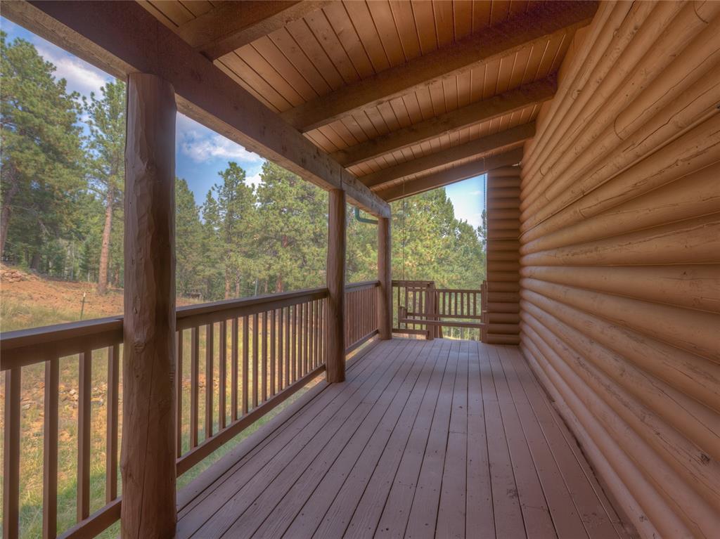 78 Barr Lake Circle Divide, CO 80814 - Photo 4 of 49