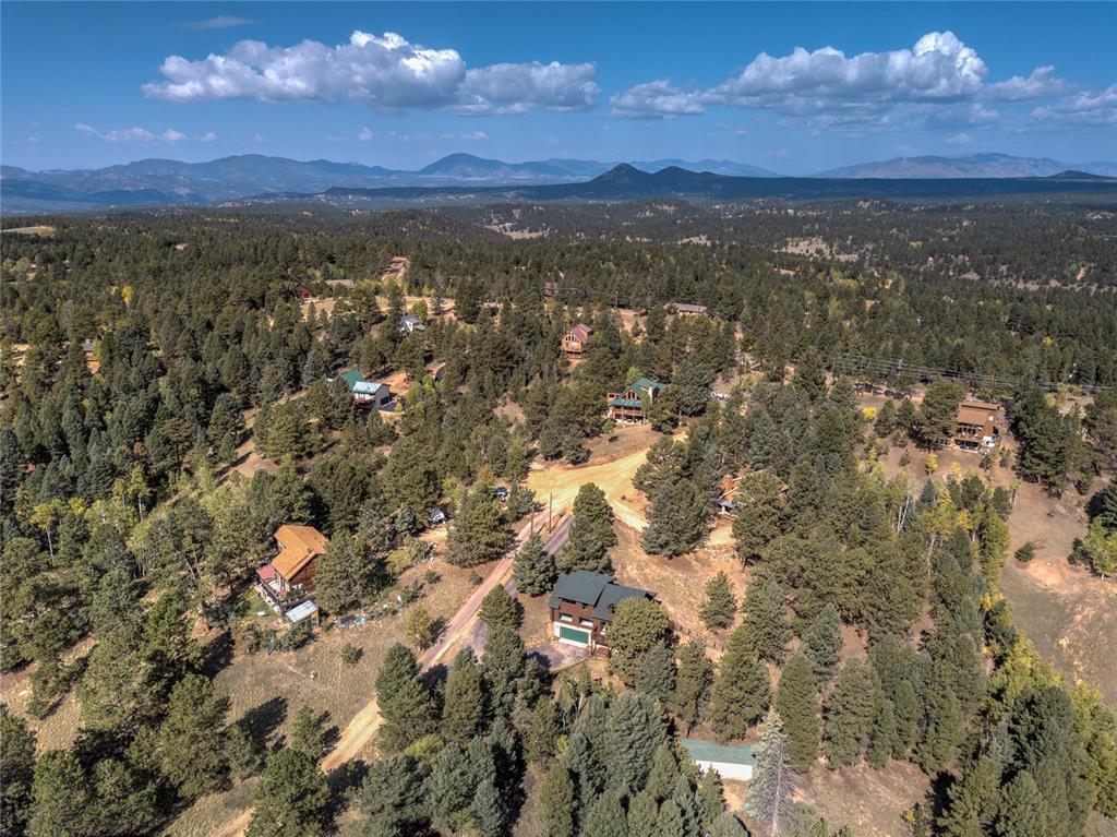 78 Barr Lake Circle Divide, CO 80814 - Photo 42 of 49