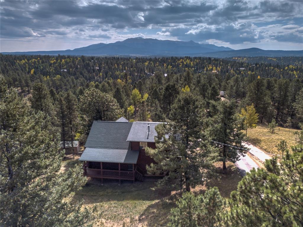 78 Barr Lake Circle Divide, CO 80814 - Photo 44 of 49