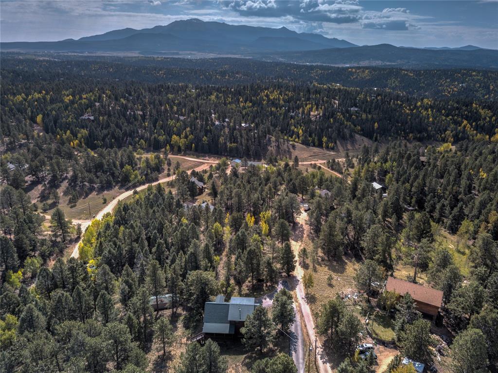 78 Barr Lake Circle Divide, CO 80814 - Photo 45 of 49