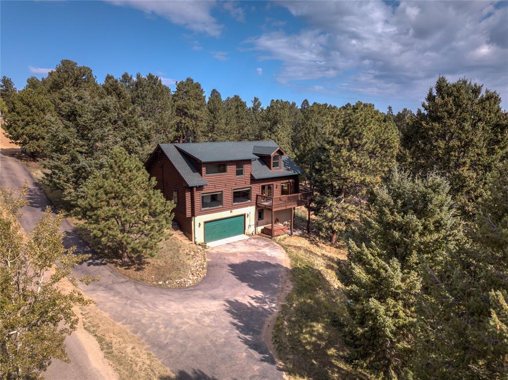 78 Barr Lake Circle Divide, CO 80814 - Photo 46 of 49