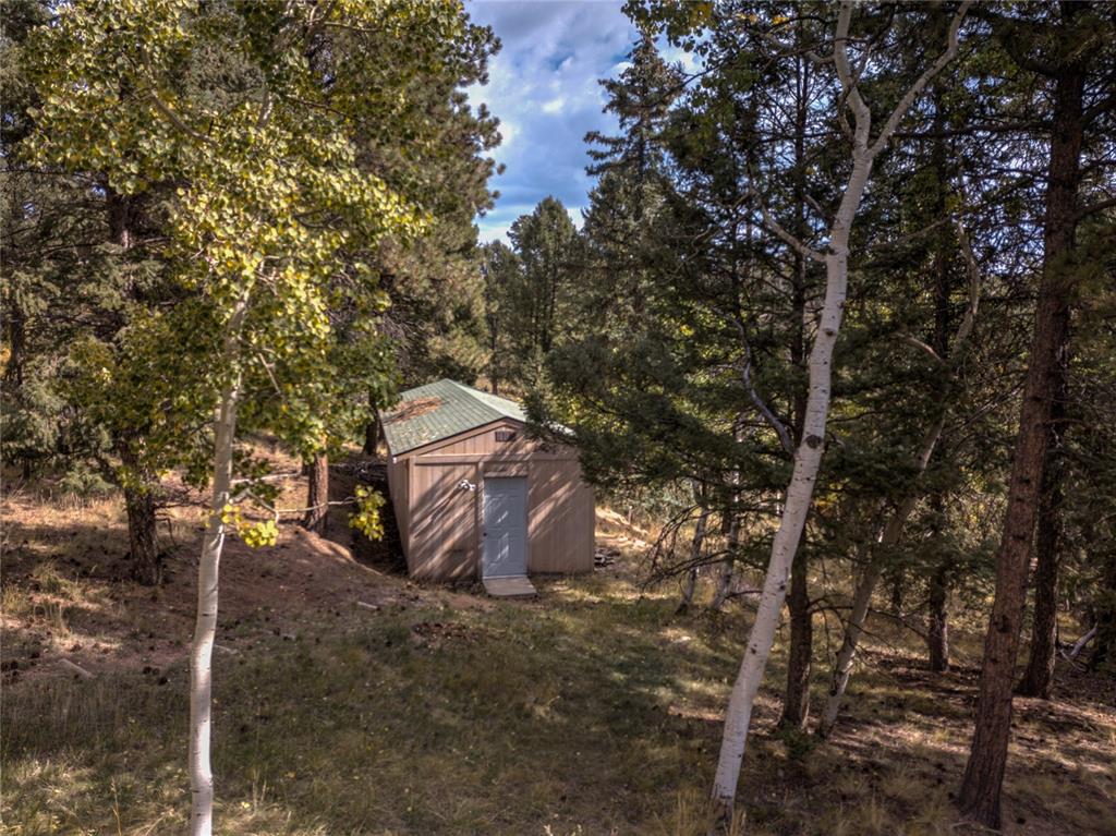 78 Barr Lake Circle Divide, CO 80814 - Photo 47 of 49