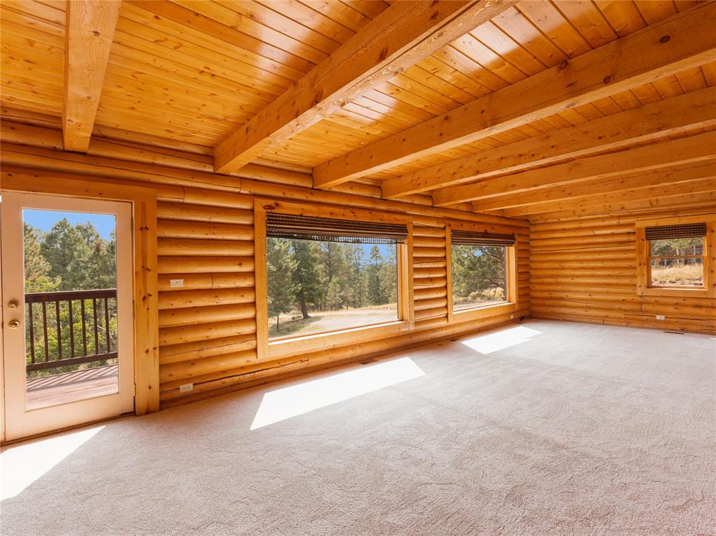 78 Barr Lake Circle Divide, CO 80814 - Photo 10 of 49