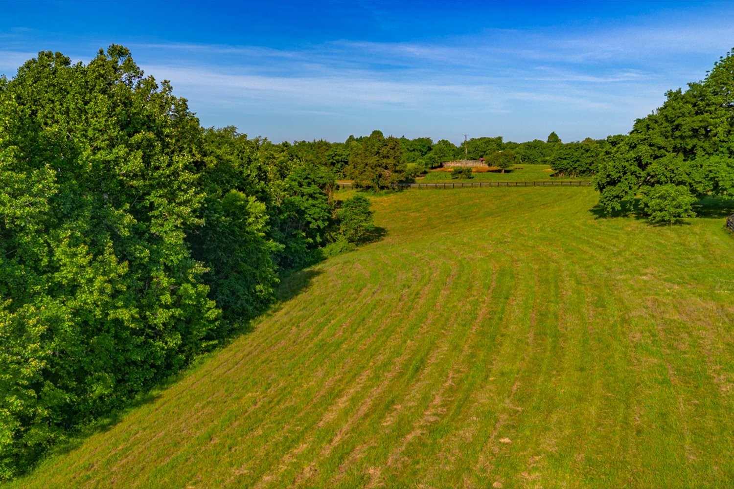 418 Carroll Ridge Road Pulaski, TN 38478 - Photo 21 of 29 Gallery Image 21