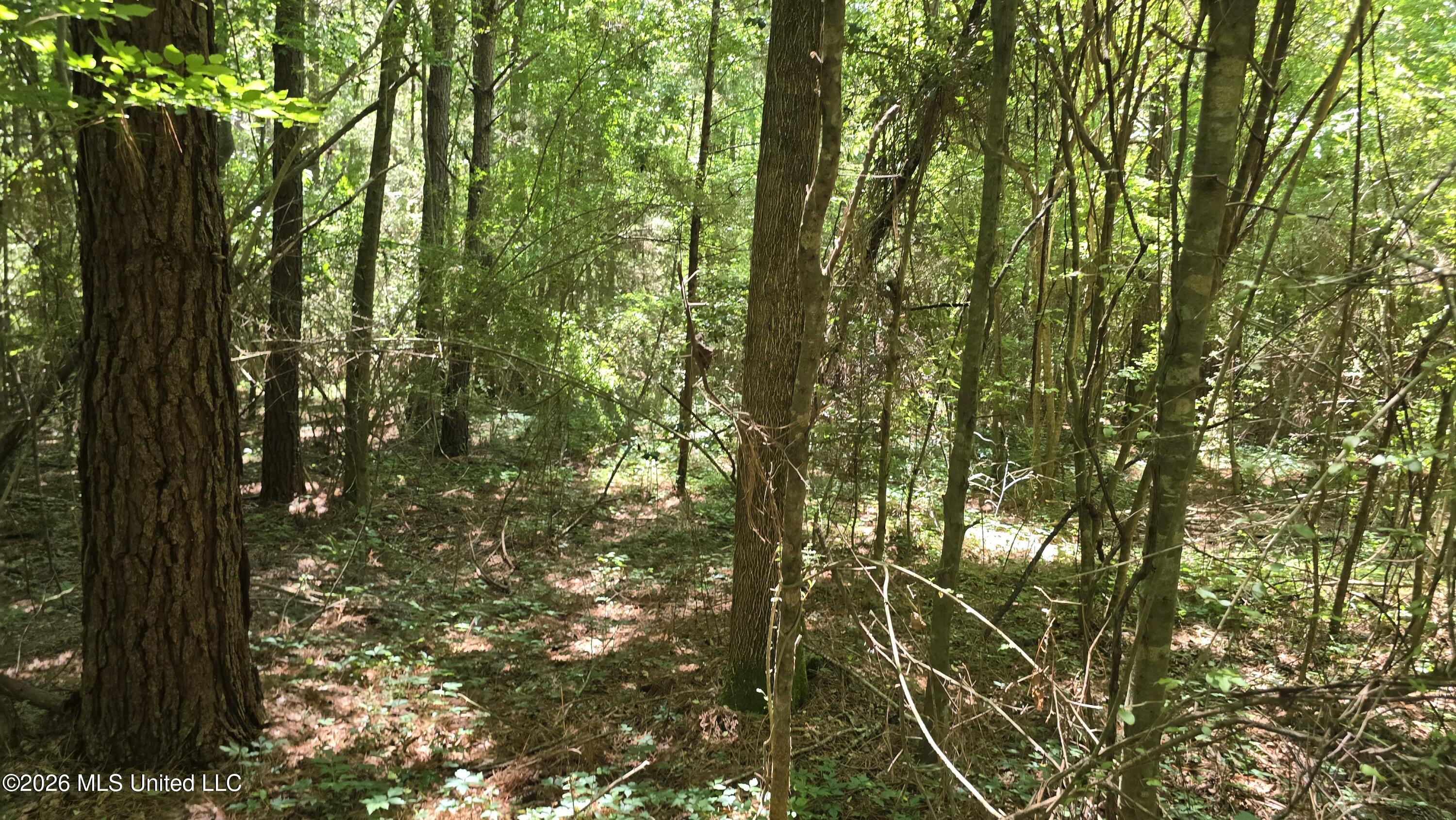 189 Co Road Bay Springs, MS 39422 - Photo 37 of 61 20260513_120515