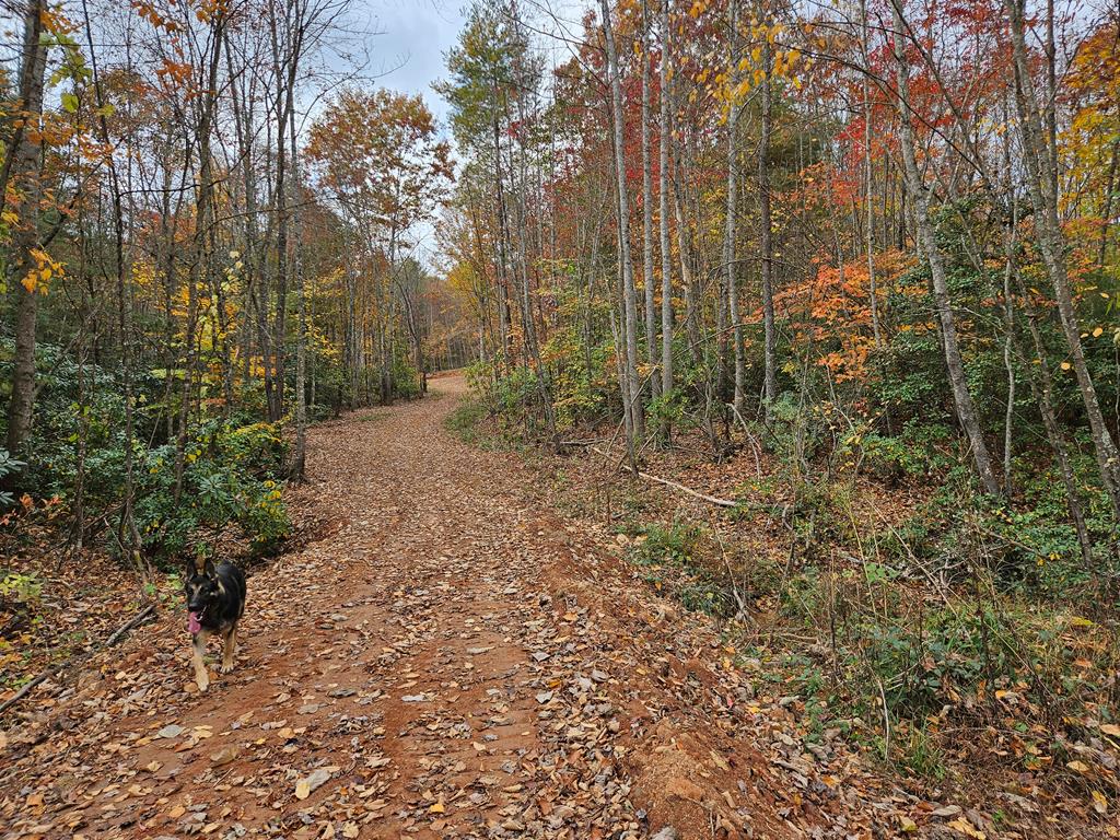 125 Ahart Ridge Road, Unit 381001 Cana, VA 24317 - Photo 20 of 59 Gallery Image 20