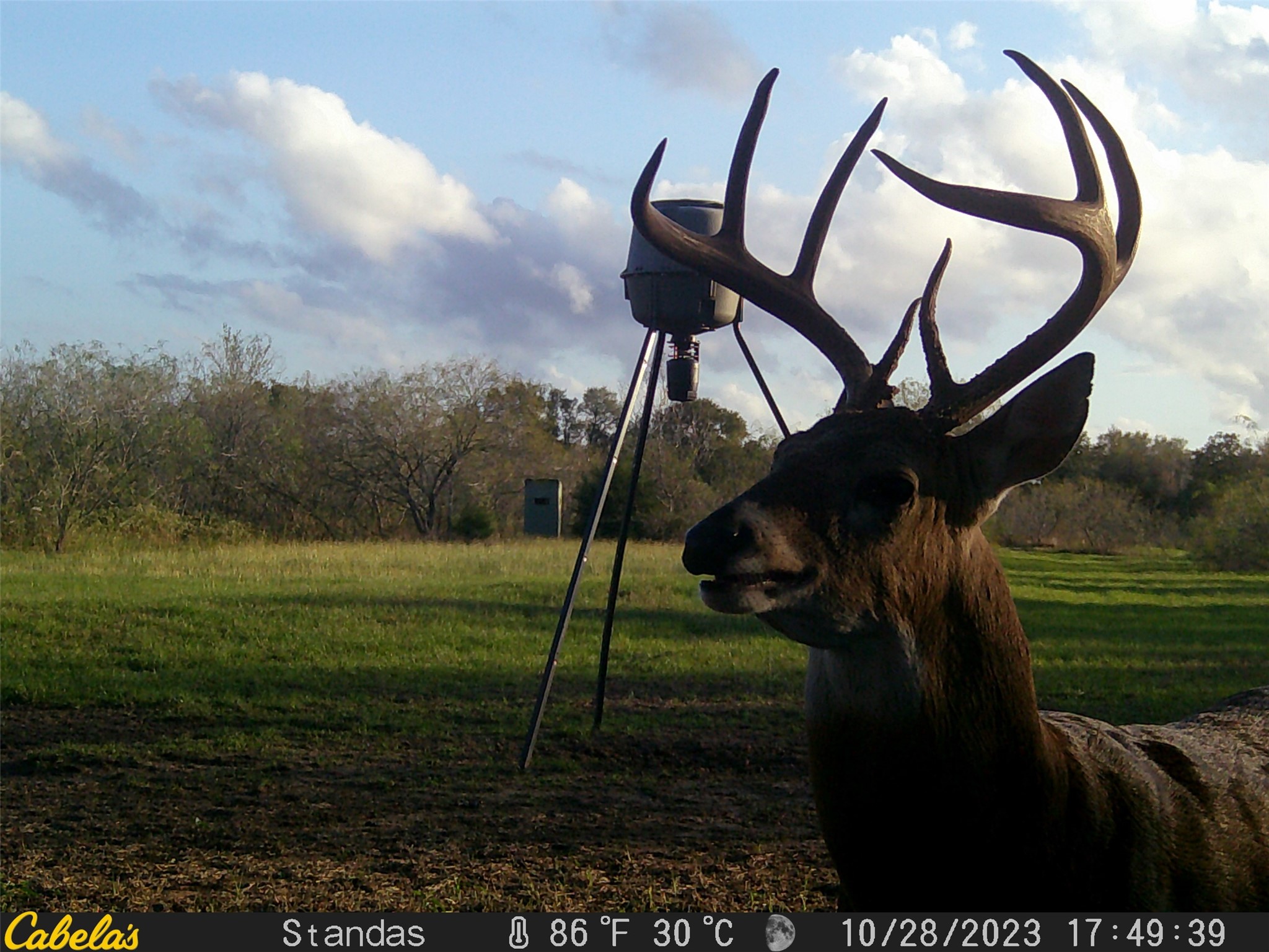 6289 Maynard Hallmark Road Flatonia, TX 78941 - Photo 13 of 19