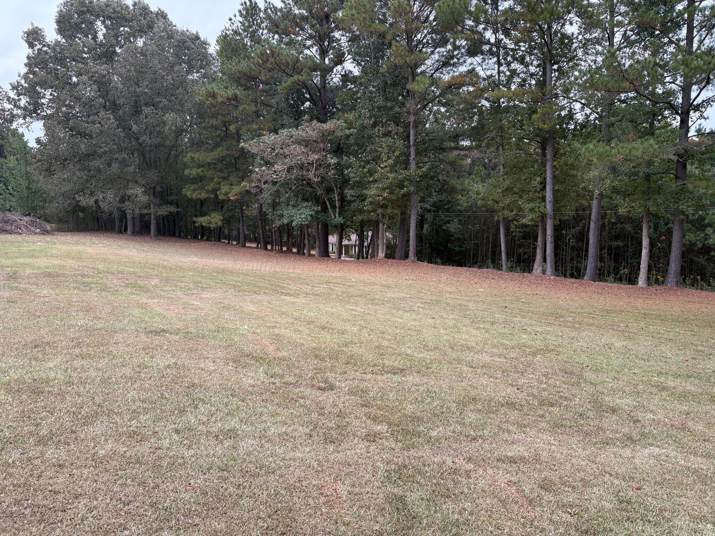 1705 Mountain Road Cordova, AL 35550 - Photo 26 of 26 Gallery Image 26