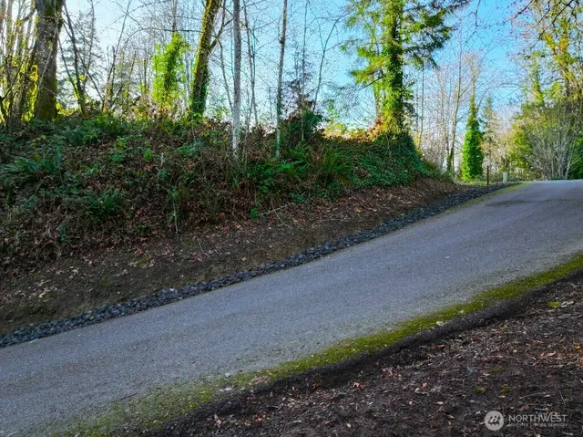 a view of a yard with plants and a trees
