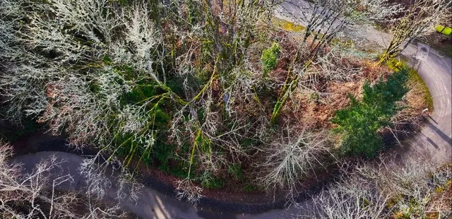 a backyard of a house with lots of green space
