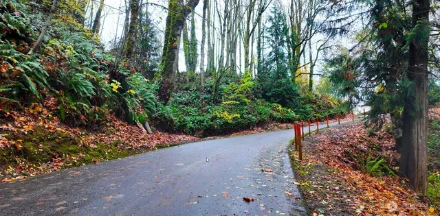 a view of a garden with plants and trees
