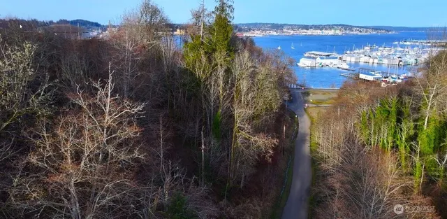a view of a house with a tree