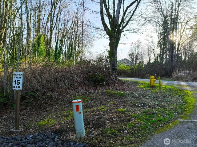 a flag is sitting in the middle of a forest
