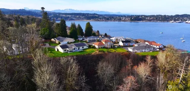 a view of a lake with a mountain in the background