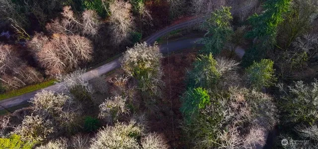 a view of a garden with plants and a bench