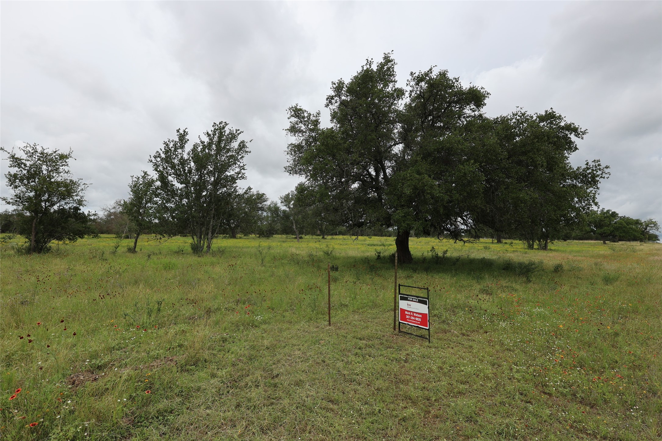 1399 Klett Ranch Road Johnson City, TX 78636 - Photo 23 of 23 a view of a lake with a park