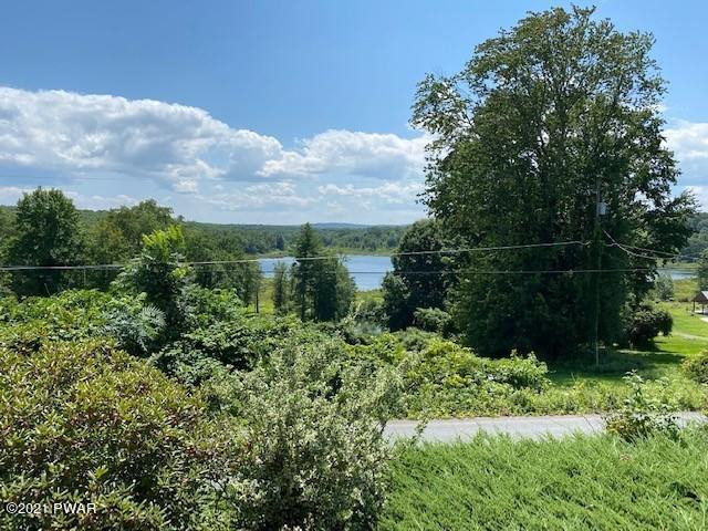 93 Miller Road Beach Lake, PA 18405 - Photo 34 of 53 a view of a garden