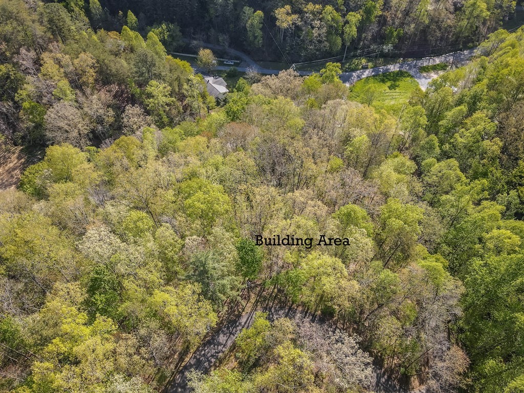 111 Hatcher Mountain Road Sevierville, TN 37862 - Photo 3 of 7