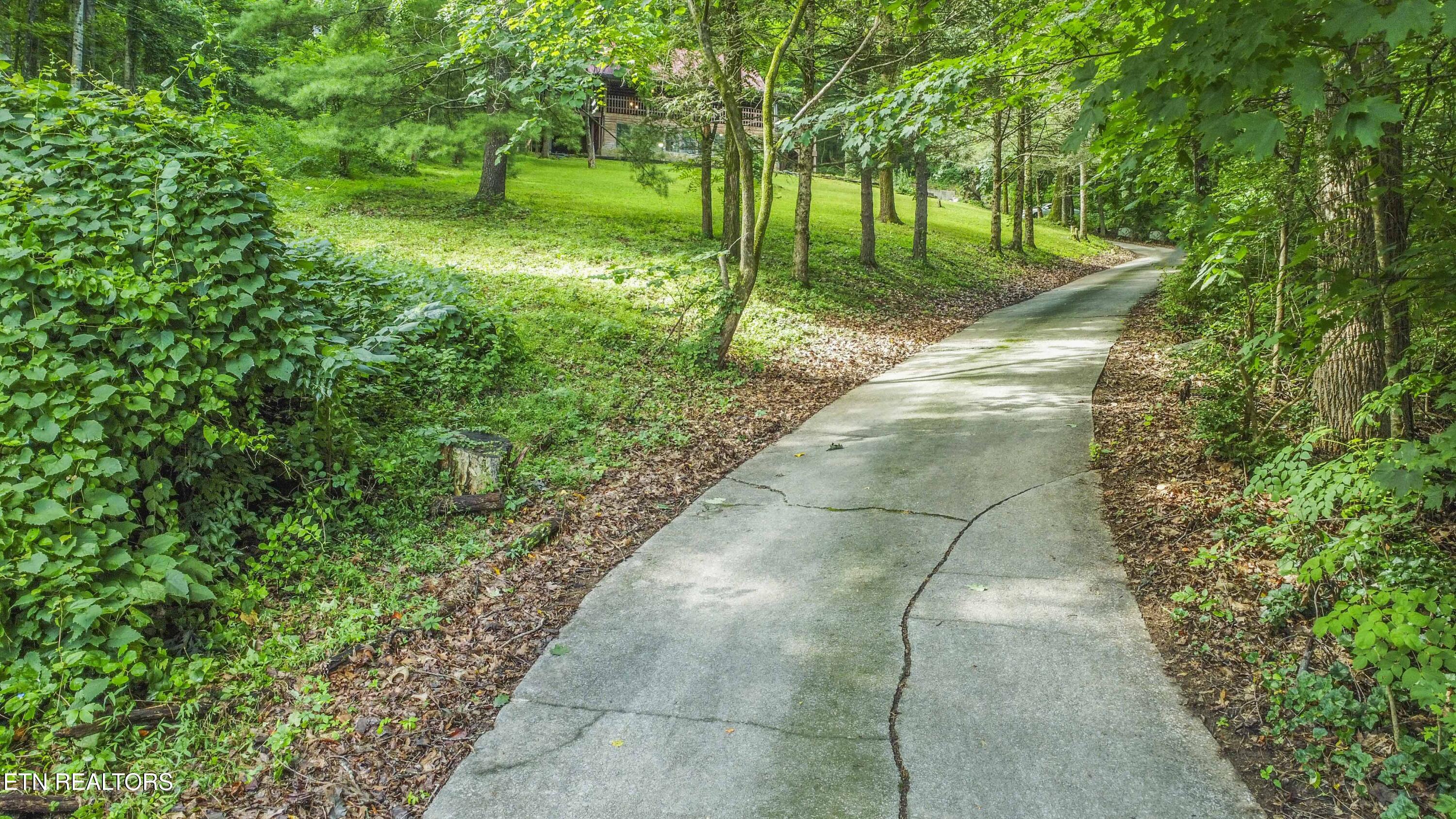 3110 Rifle Range Drive Knoxville, TN 37918 - Photo 50 of 53 drone_1